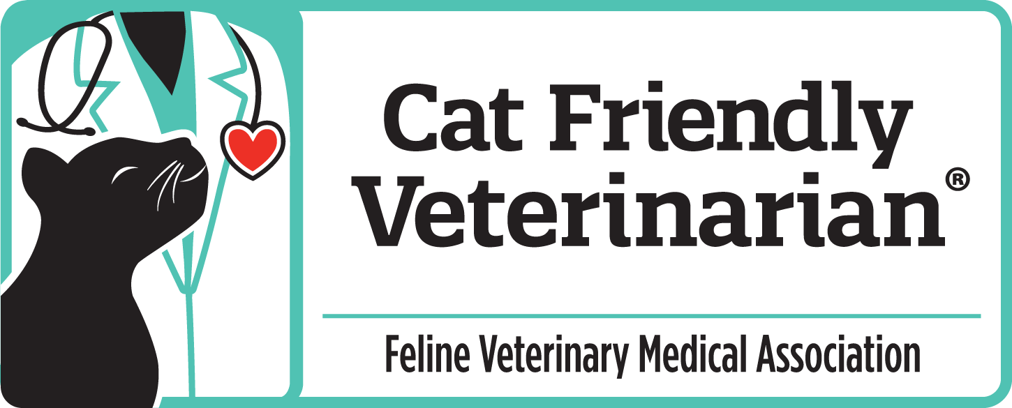 Cat Friendly Veterinarian Cat Friendly Veterinarian